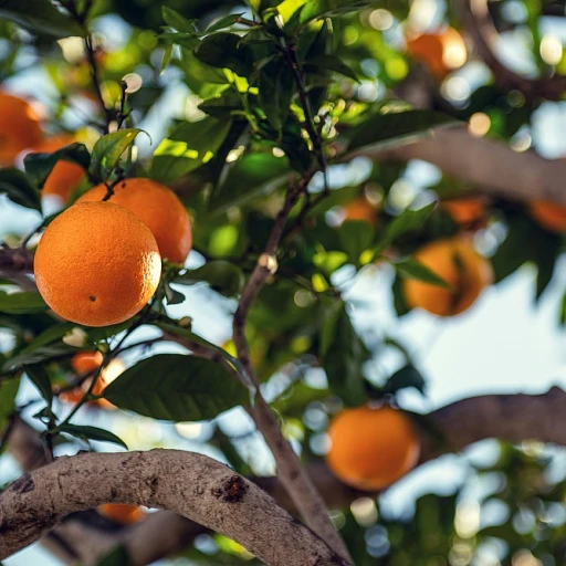 Réduire sa consommation de sucre avec des compléments alimentaires