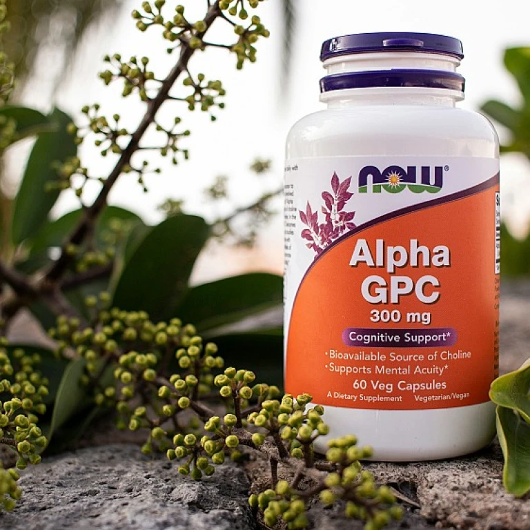 Les bienfaits insoupçonnés des graines de moringa oleifera
