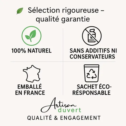 610MBjhLOlL._AC_SL1024_