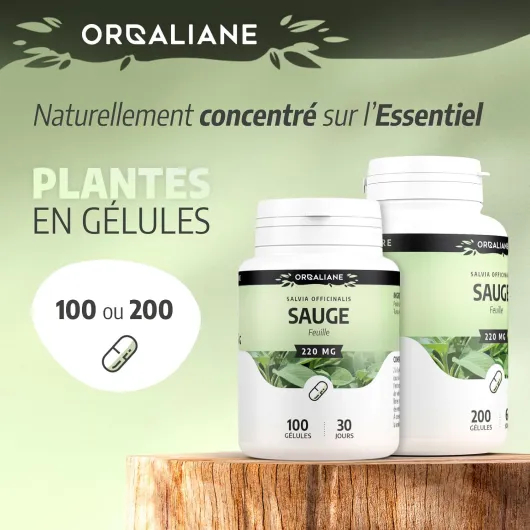 71NTU2hzB7L._AC_SL1500_