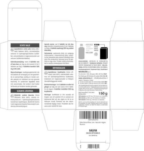 81k5fT0SEIL._AC_SL1500_