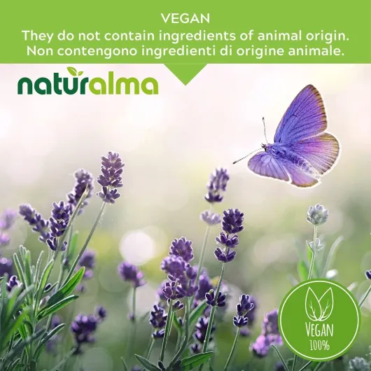 61GiBJrLhBL._AC_SL1080_