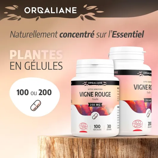 71e2QVhDd-L._AC_SL1500_