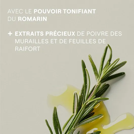 81CWS0mGb5L._AC_SL1500_