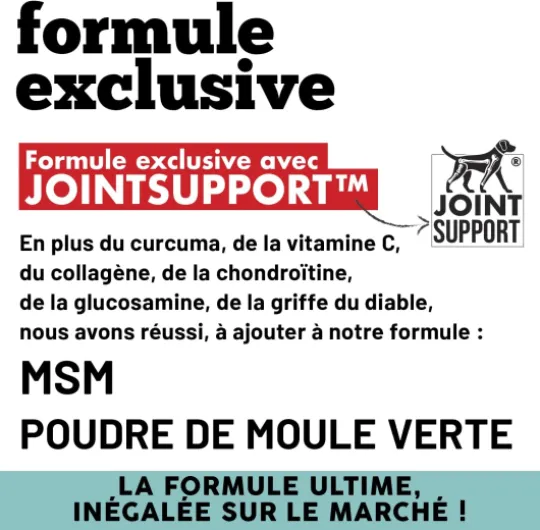 MyPetPrime Articulations Chien Complément Alimentaire 125 Comprimés - Nouvelle Formule JointSupport avec MSM, Poudre de Moule Verte, Glucosamine et Griffe du Diable
