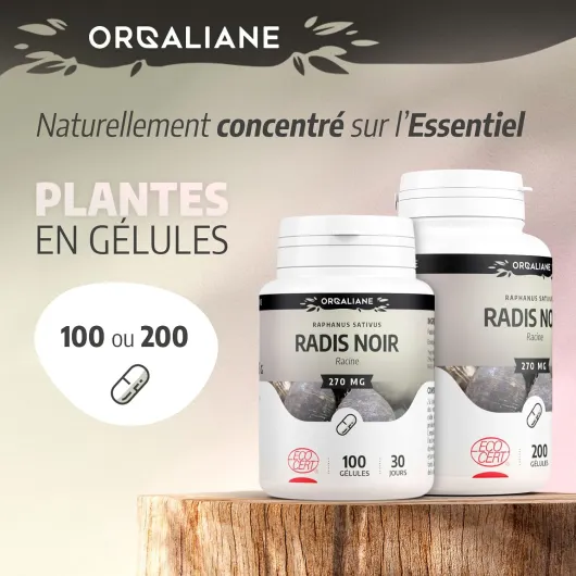 71HKLbengAL._AC_SL1500_