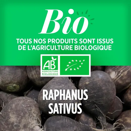 71ag6-CrUSL._AC_SL1500_