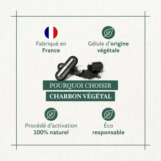 81noXeG6QAL._AC_SL1500_