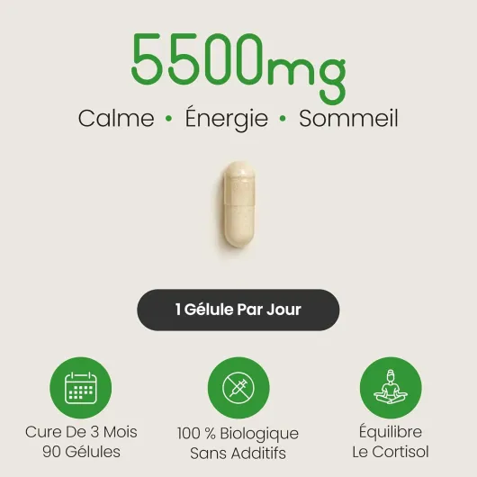 ASHWAGANDHA Bio Gelules Extra Fort 90 Jours - Detox Cortisol - 5500 mg - Ashwagandha KSM-66 + 5% Withanolides - l'Ashwagandha Anti Stress Adulte, Anxiete, Sommeil - VitaBright Vegan Ashwaganda KSM 66