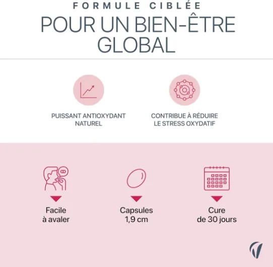 71qjrwWA5-L._AC_SL1500_