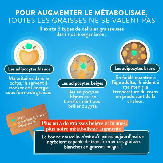 818p-u36HeL._AC_SL1500_