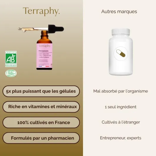 51KFZqlAoGL._AC_SL1000_