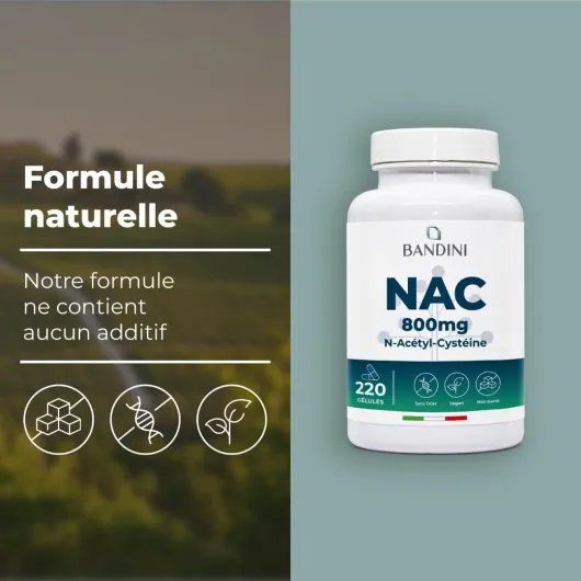 61fTT0tOfZL._AC_SL1080_