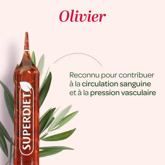 610ebRnSX1L._AC_SL1200_