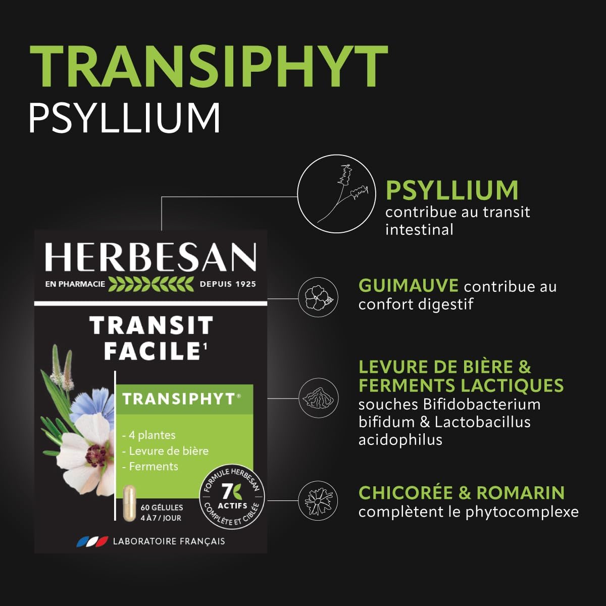 ®-TRANSIPHYT - NOUVELLE FORMULE - Triple actions : Transit naturel, Bien-être digestif, Microbiote intestinal -Complexe de 4 Plantes, Levure de bière et Ferments lactiques - 60 Gélules Blanc 1 unité (Lot de 1)