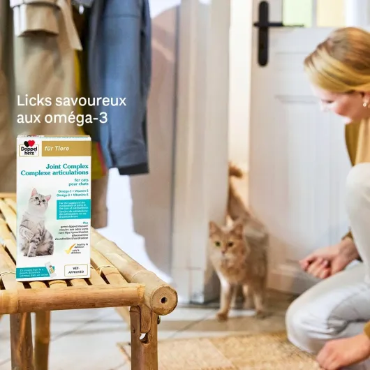 61n pWC4 VL._AC_SL1080_