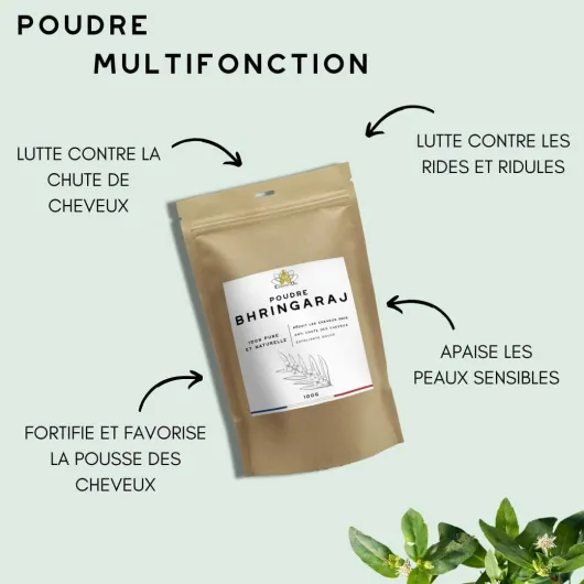 61p8zWELjZL._AC_SL1080_