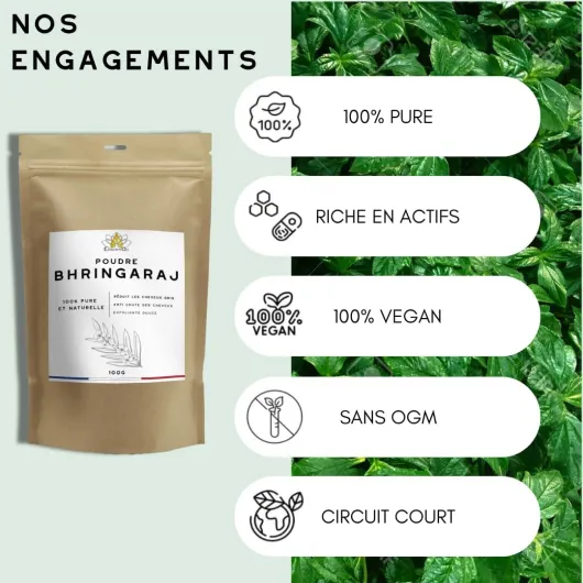 61n3hId tNL._AC_SL1080_