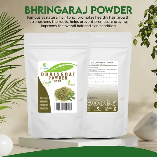 81VpxL2o5wL._AC_SL1500_