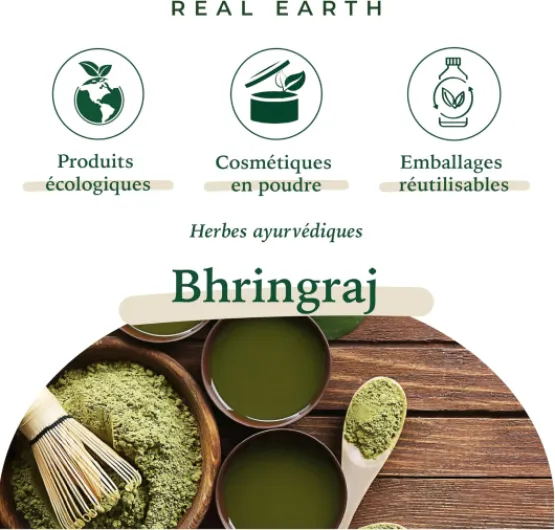 Bhringraj Poudre bio Eclipta Alba Real Earth Stories à base de plantes naturelles 250 g – Pour la croissance des cheveux, les épaississants – Excellent après-shampoing – Fabriqué en Inde