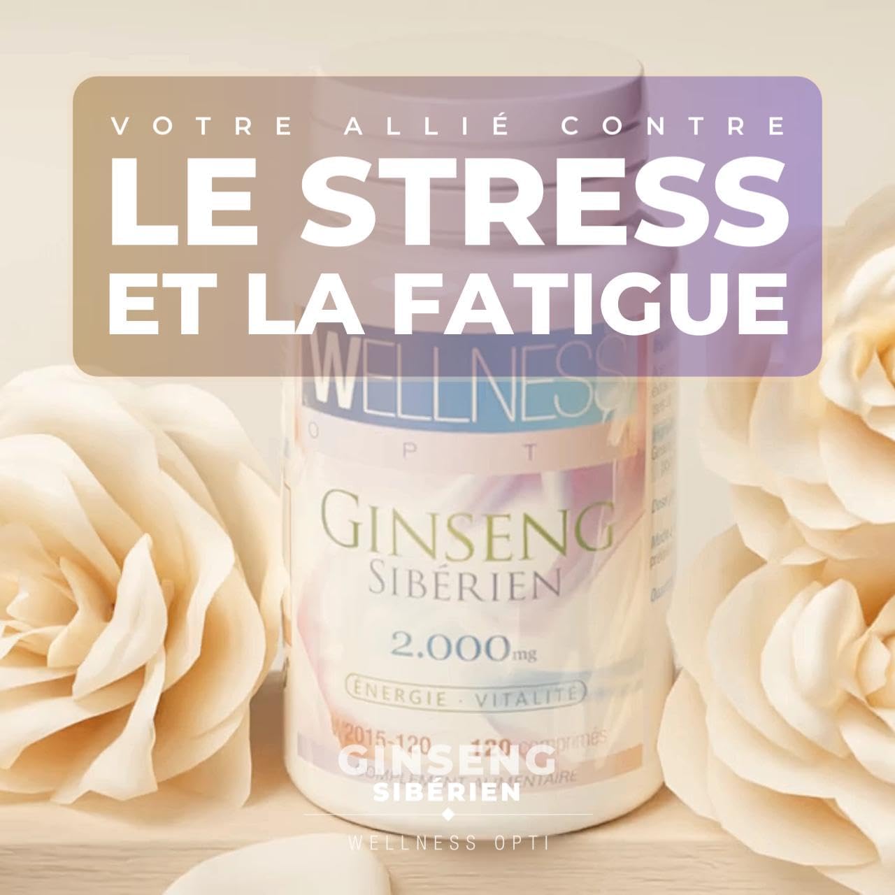 Ginseng Sibérien - 120 Comprimés - Énergisant naturel pour deux mois d'utilisation - Dose journalière 2 000 mg - Soutien à votre activité quotidienne et à vos performances mentales