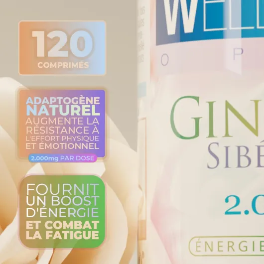 61PNjvHWcHL._AC_SL1464_