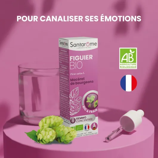 Figuier Bio - Macérat de bourgeons - Bourgeon de Figuier Bio - Bourgeon Frais - Gémmothérapie - Complément alimentaire anti stress - Flacon de 30 ml - France