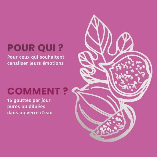 Figuier Bio - Macérat de bourgeons - Bourgeon de Figuier Bio - Bourgeon Frais - Gémmothérapie - Complément alimentaire anti stress - Flacon de 30 ml - France (Lot de 2)