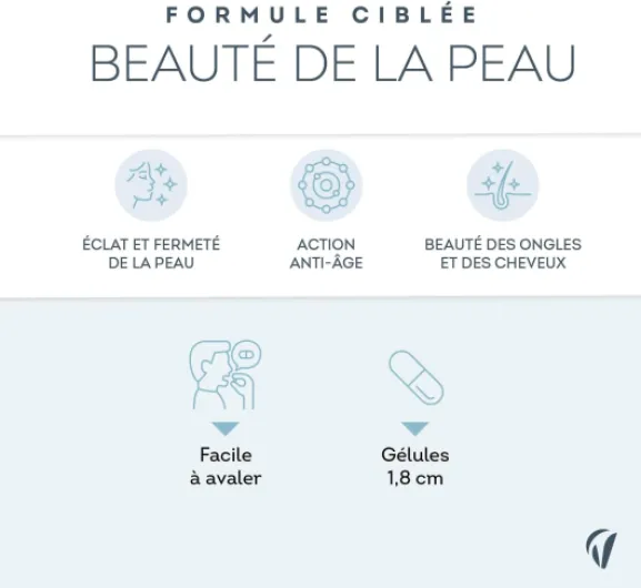 61no5axvsjL._AC_SL1500_