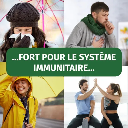 61qivCktGXL._AC_SL1080_