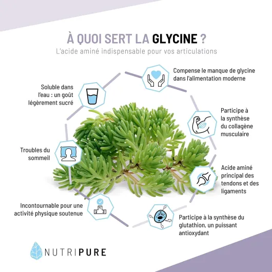 Glycine Pure 100% Vegan - Acide Aminé Essentiel - Idéal pour la Reconstruction du Collagène des Articulations & les Tendinites - Sans Additifs - Pot de 1,2kg - 4 mois - Made in France Pot 1,2KG (4 mois)