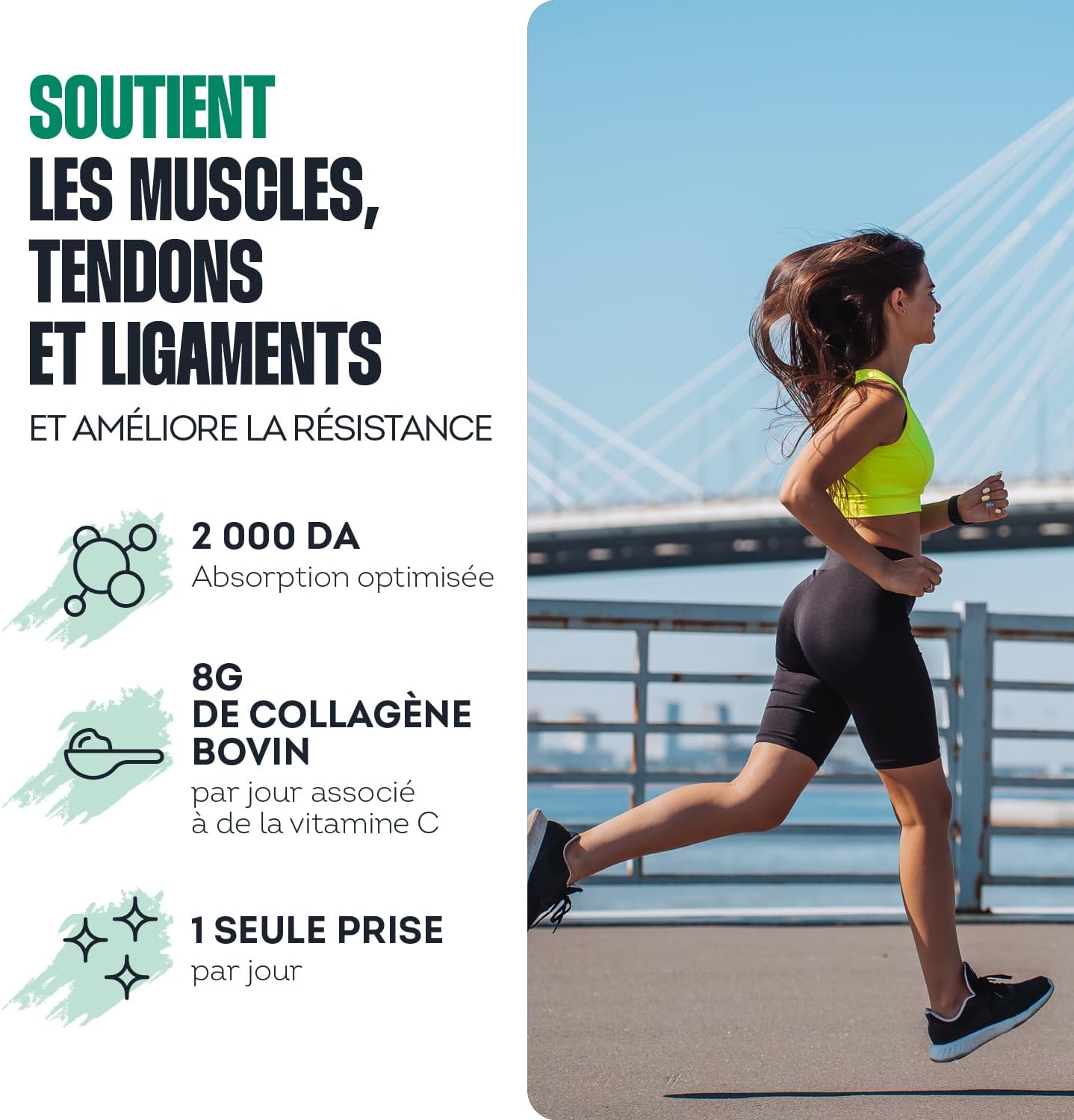 Peptides de Collagène Peptan 300g - Complément alimentaire sport avec Collagène Bovin - Articulations, Récupération, Peau & Tonicité - Goût Chocolat - Fabriqué en France