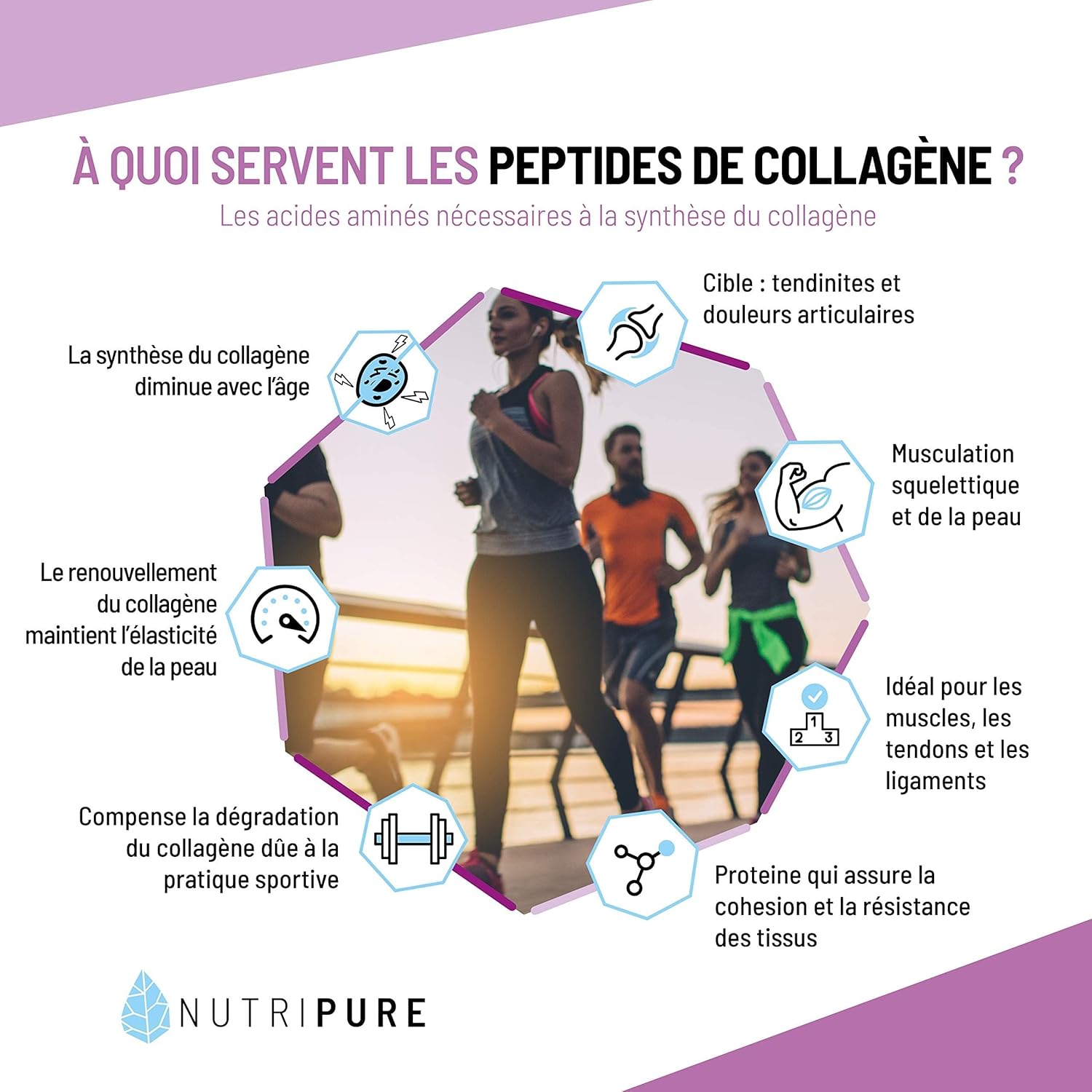 Peptides de Collagène Peptan - Acides Aminés, Types 1 - Protège Os et Articulations, Hydratation de la Peau - Made in France - Arôme Neutre - Pot de 1,2kg - 4 Mois Neutre 1200 g (Lot de 1)