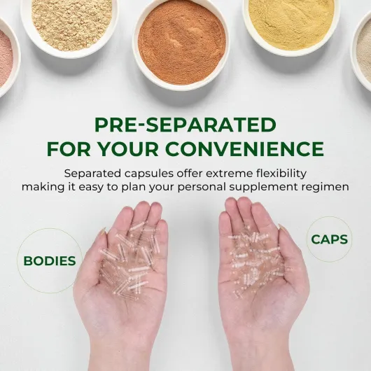 81ykTeGGyGL._AC_SL1500_