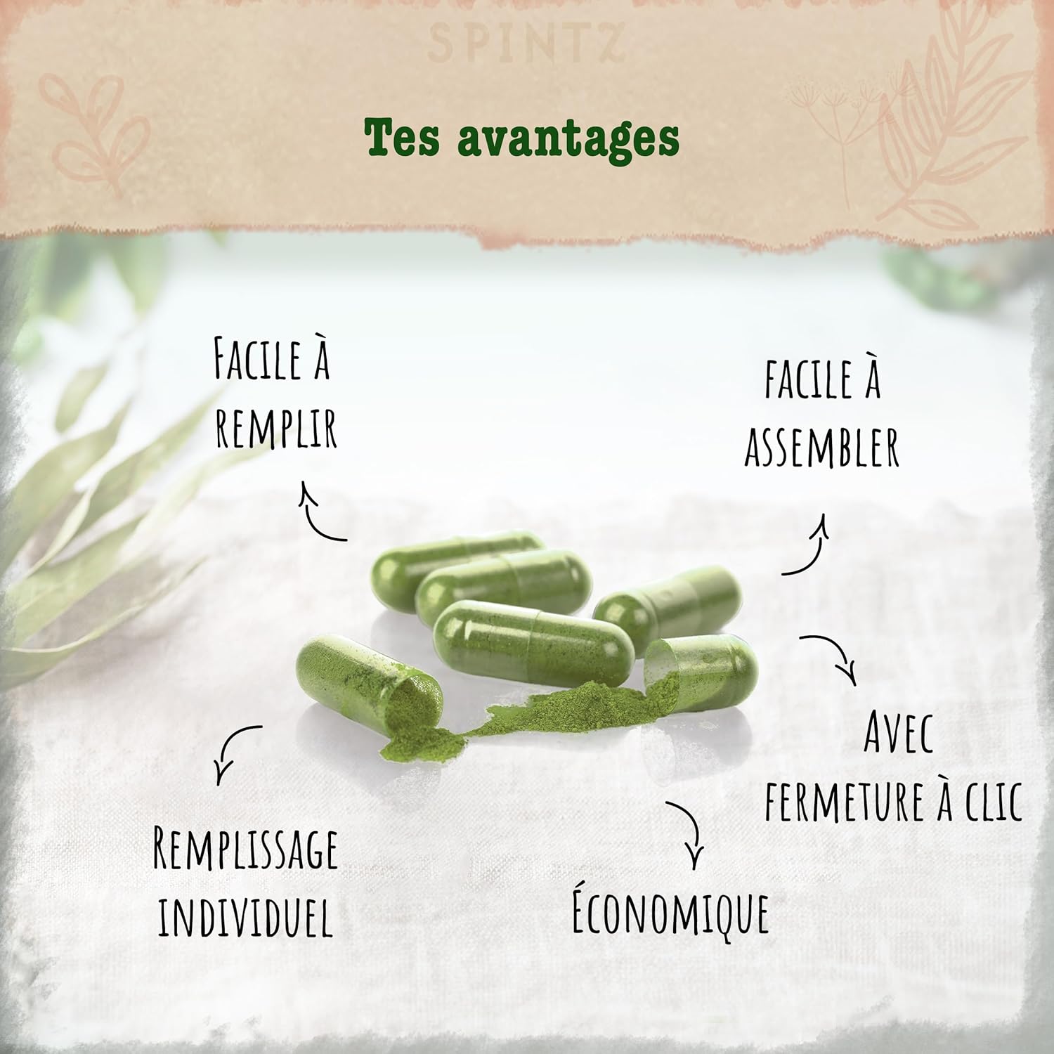 SPINTZ Gélules vides végétaliennes HPMC taille 0 (250 gélules) - Testé en laboratoire indépendant - Emballage sans plastique & durable - 100% cellulose végétale, non-GMO, sans allergènes, transparent 250 pièces