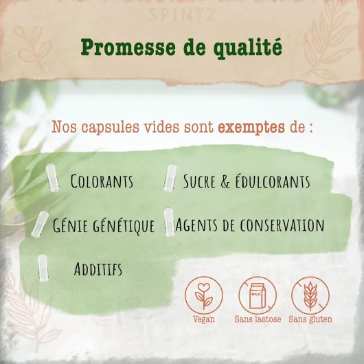 81l Q-r8bUL._AC_SL1500_