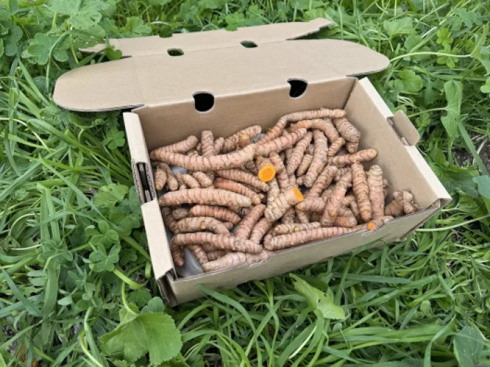 91bPyqesx9L._AC_SL1500_