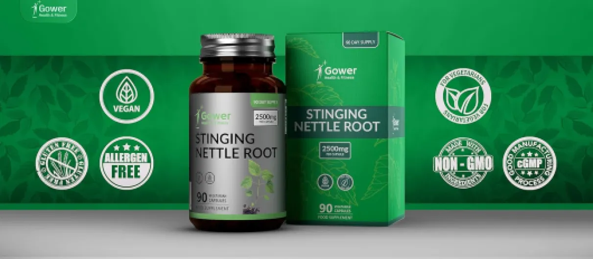 71ecghg68xL._AC_SL1500_