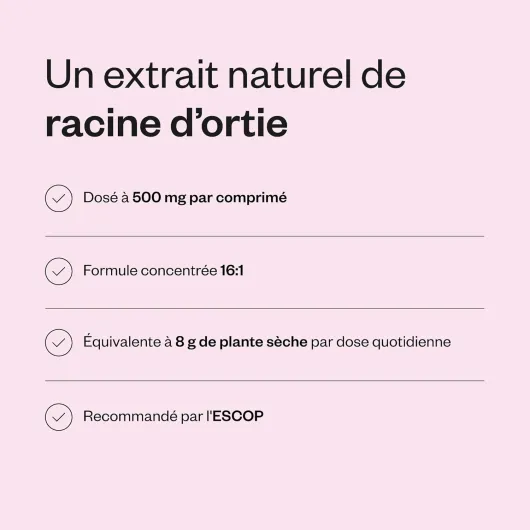 61BTOBcvDbL._AC_SL1500_