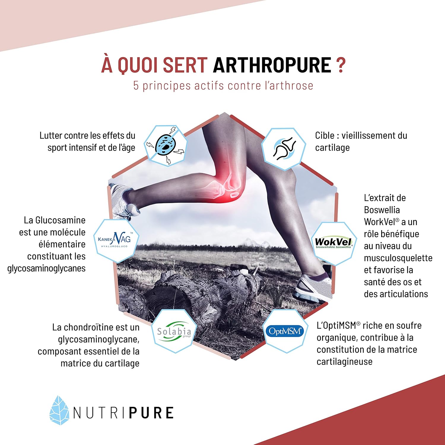Arthropure - Bien Être & Souplesse Articulaire - 6 principes Actifs Brevetés : OptiMSM® + Chondroïtine sulfate Solabia® + N Kaneka® + Boswellia WorkVel® + Vitamine C + Collagène Type II Sans saveur 1 unité (Lot de 120)