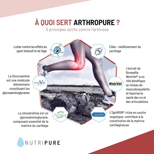 Arthropure - Bien Être & Souplesse Articulaire - 6 principes Actifs Brevetés : OptiMSM® + Chondroïtine sulfate Solabia® + N Kaneka® + Boswellia WorkVel® + Vitamine C + Collagène Type II Sans saveur 1 unité (Lot de 120)
