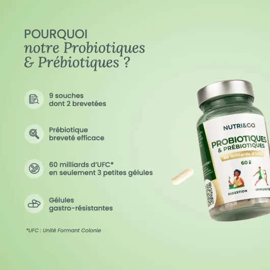 NUTRI & CO Probiotique Flore Intestinale - 60 Milliards UFC/jour - 9 Souches dont 2 Lactobacillus Brevetées - 60 Gélules Gastro-Résistantes aux Enzymes Digestives - Conditionné en France 60 unité (Lot de 1)