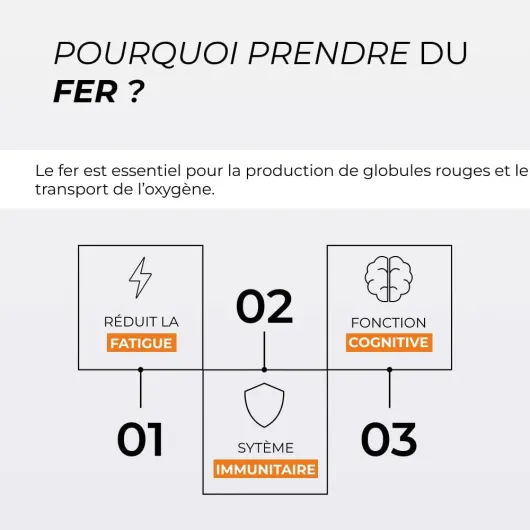 515nYaQ8WVL._AC_SL1000_