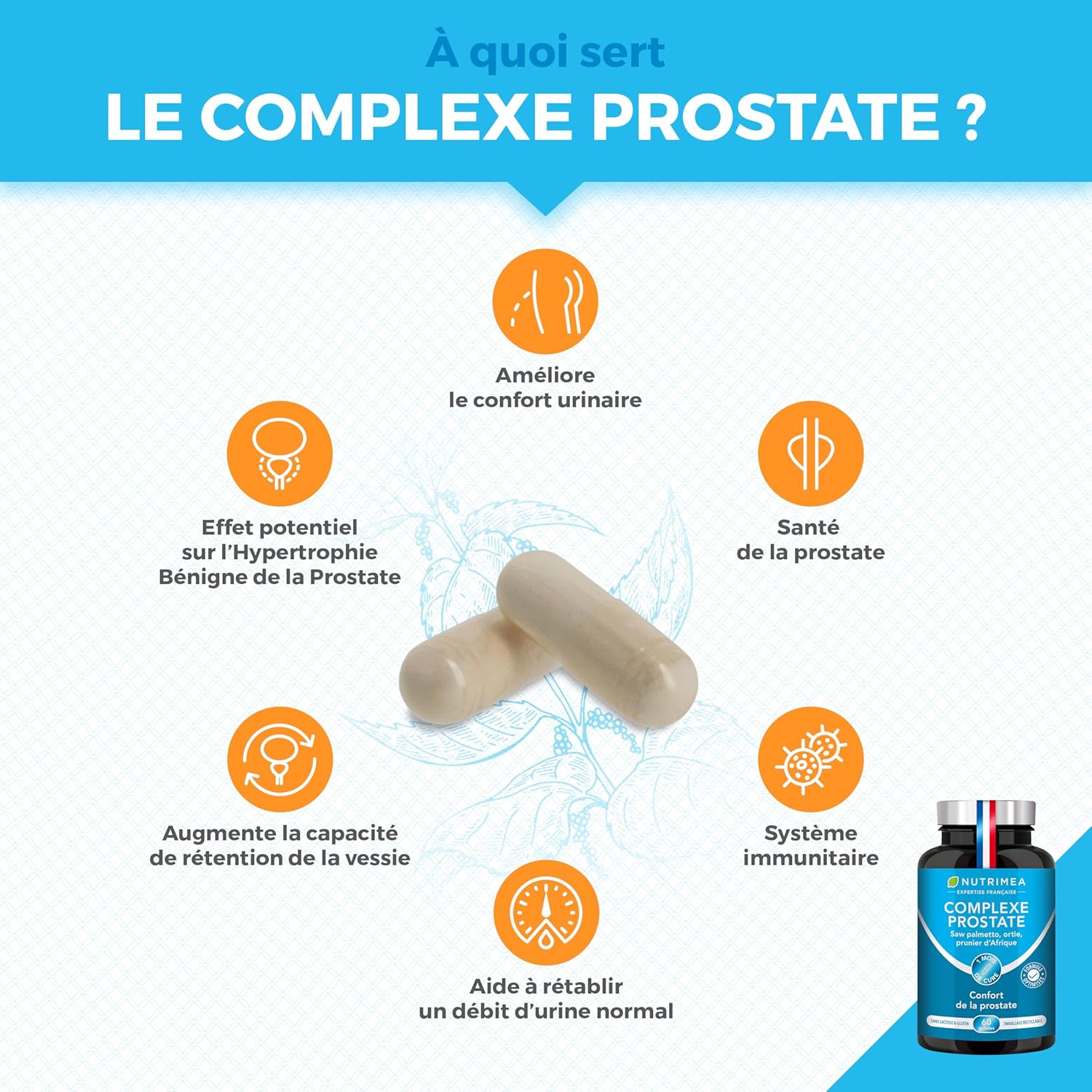 Protection de la Prostate & Confort Urinaire - Efficace contre l’HBP et les Mictions - Actifs Naturels - Ortie, Palmier Nain et Prunier d’Afrique - PROSTASUR - 60 Gélules Vegan - Fabriqué en France