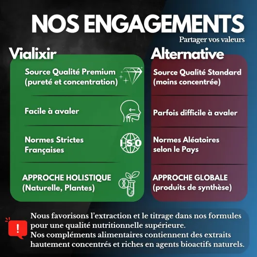 81tdl5JJd7L._AC_SL1500_