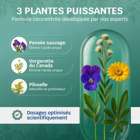 71gbaMRkhvL._AC_SL1500_