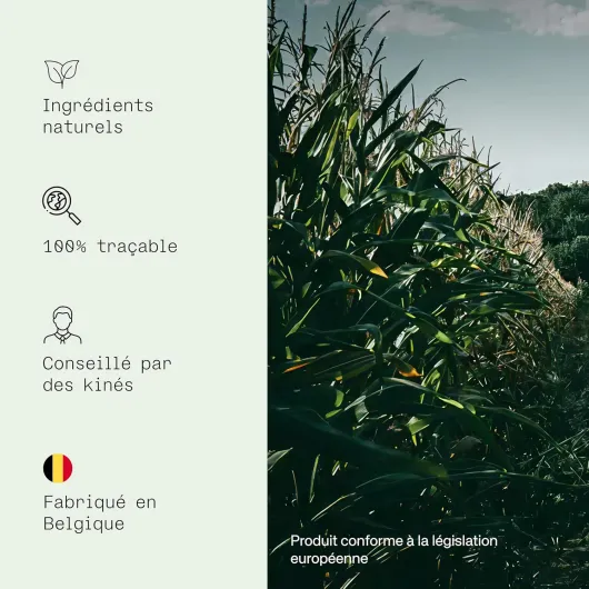 81nm44TA9xL._AC_SL1500_