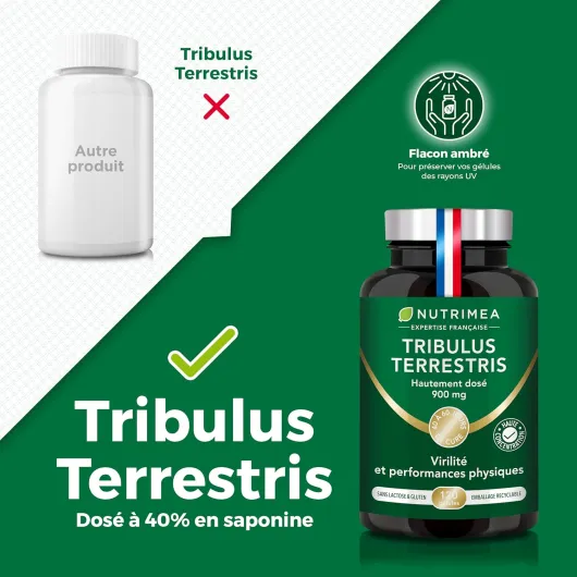 81meq3Di8GL._AC_SL1500_