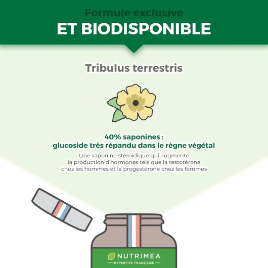 71WU3mXZf6L._AC_SL1500_