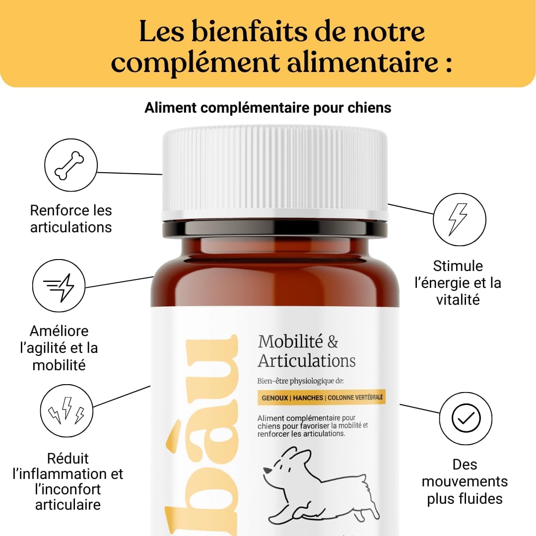 BAU Complément Articulations Chien Premium - Soutien Mobilité, Arthrose, Articulations et Cartilages - Formulé par des Vétérinaires - Glucosamine, Chondroïtine, MSM & Moule Verte (60)